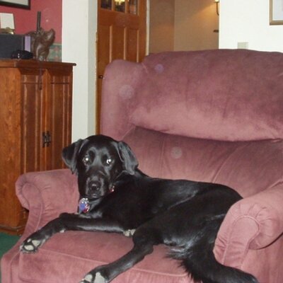 Profile Picture of Michael Lamon (@lamon_michael) on Twitter