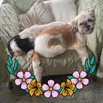 Profile Picture of Lisa Stephen Mulgrew (@Lisa-Stephen-Mulgrew) on Facebook