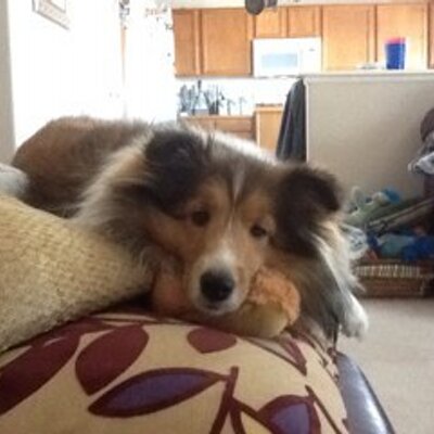 Profile Picture of Michael Stickney (@crmstickney) on Twitter