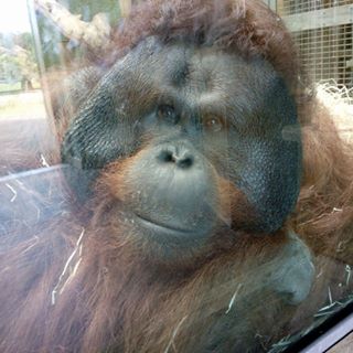 Profile Picture of Keith Messenger (@Keith-Messenger) on Facebook