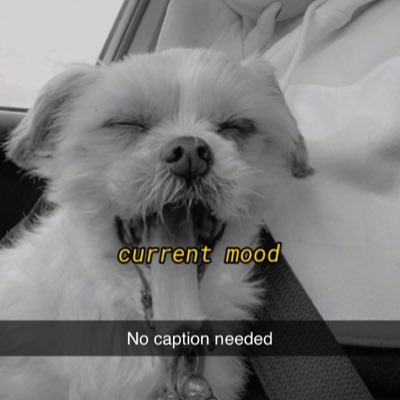 Profile Picture of Hannah McDonell (@HannahMcDonell1) on Twitter