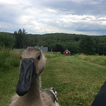 Profile Picture of Adam Nunez (@myxbox360ps3) on Flickr