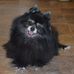 Profile Picture of Jeannie McDonald (@jeannie.mcdonald.986) on Facebook