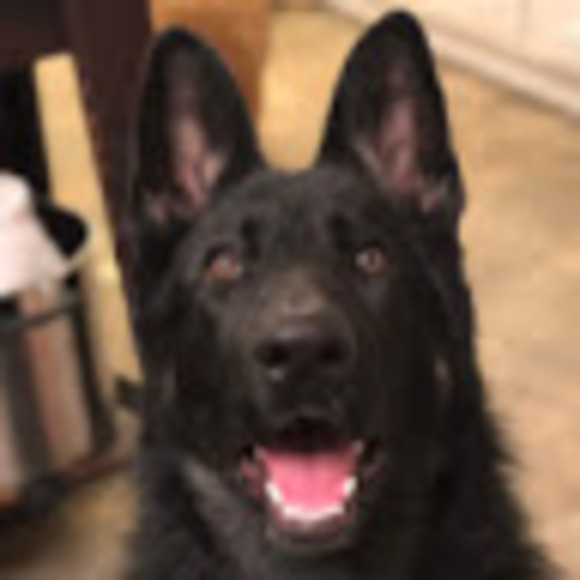 Profile Picture of Seth Baffuto (@seth4652) on Poshmark