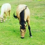 黃柏儒William Huang - Instagram Profile Picture of 黃柏儒William Huang (@william110592) on Instagram