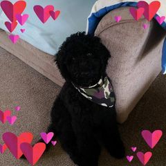 Profile Picture of Tony Farrow (@tonyfarrow1961) on Tiktok