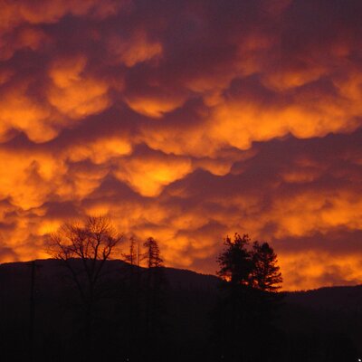 Profile Picture of Amy  Duffield (@@oldduffers1) on Twitter