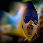 Profile Picture of Steve Ferrer (@el_estif_86) on Instagram