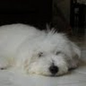 Profile Picture of Alvin Chia (@project15) on Youtube