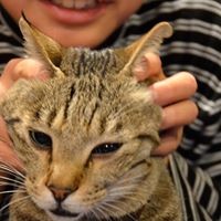 Profile Picture of Meiko Kakizaki (@kakizaki-meiko) on Quora