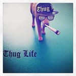 Profile Picture of Nicholas Marquez (@nicholas_marqez) on Instagram