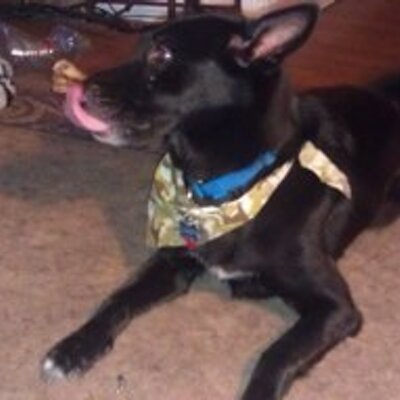 Profile Picture of Patrick Sealy (@uhhuhokay) on Twitter