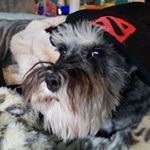 Profile Picture of Michele Bergstrom (@michele_bergstrom) on Instagram