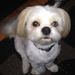 Profile Picture of Janette Scully (@janettescully) on Pinterest