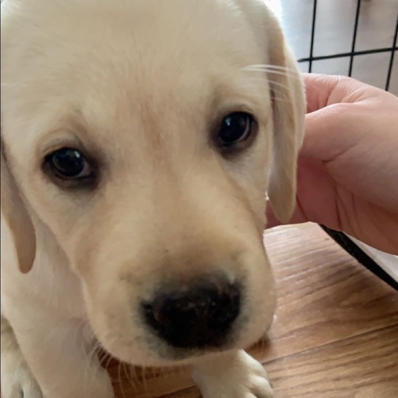 Profile Picture of Alana Huesser (@ahuesser01) on Poshmark