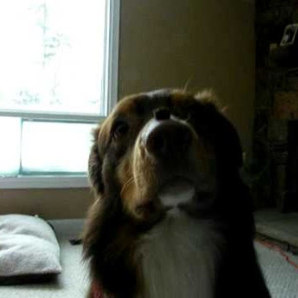 Profile Picture of Charles Matchett (@charlesmatchett) on Poshmark