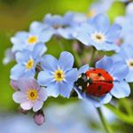 Profile Picture of Deborah Rust (@debbie22.06.2005) on Instagram
