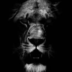 Profile Picture of Demarcus Mitchell (@demarcus.mitchell.201994) on Facebook