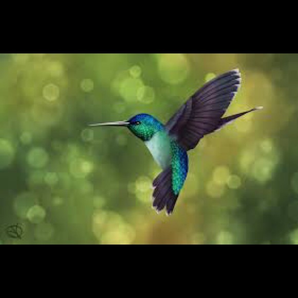 Profile Picture of Mike Mohr (@mmohr5) on Poshmark