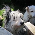 Profile Picture of Anne Fothergill (@fothergill.anne) on Instagram