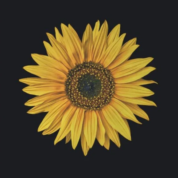 Profile Picture of Reagan Dekkinga (@reagandekk) on Poshmark