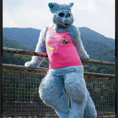Profile Picture of Juniper Luck (@JuniperLuck) on Twitter