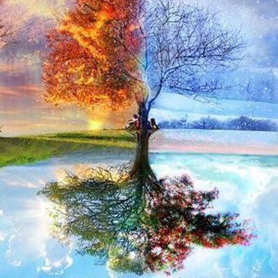 Profile Picture of Robin Alvarez, EA (@4SeasonsIncTax) on Twitter