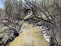 Profile Picture of Brûlée River (Champlain River tributary)on Wikipedia