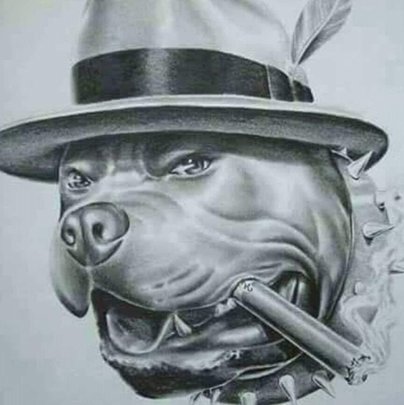 Profile Picture of Everett Marshall (@everettmarshall) on Poshmark