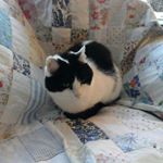 Profile Picture of Hilary (@bethmollon) on Instagram