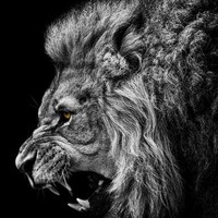 Profile Picture of Dejan Stefanovic (@dejan-stefanovic-5) on Quora