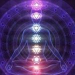 Profile Picture of Haley Archer (@haley_archer95) on Instagram