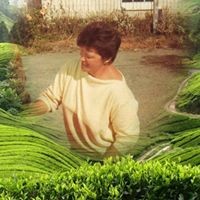 Profile Picture of Cindy Roach Wright (@cindy-roach-wright) on Quora