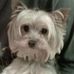 Profile Picture of Kim Boyd Felts (@kim.b.felts) on Facebook