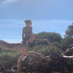 Profile Picture of Andy Vaughn (@asddwasdfds) on Instagram