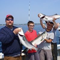 Profile Picture of Robert Whitledge (@robertwhitledge) on Pinterest