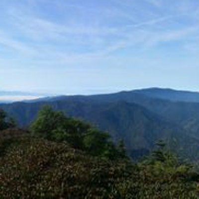 Profile Picture of Brent Carter (@bctrlrunner89) on Twitter