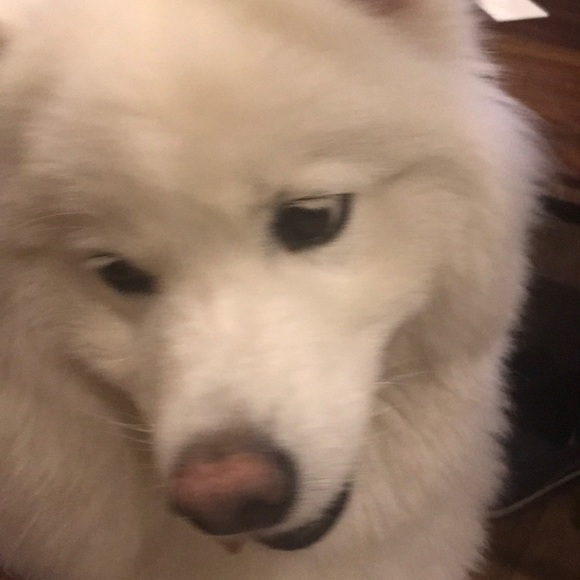 Profile Picture of Lydia Timbs (@ltimbs235) on Poshmark