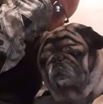 Profile Picture of Brian Brannock (@brian.brannock.698006) on Facebook