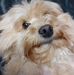 Profile Picture of Christine Ploquin (@christine.ploquin.7) on Facebook