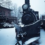 Hayden Northcutt - Instagram Profile Picture of Hayden Northcutt (@dmft_gaming) on Instagram