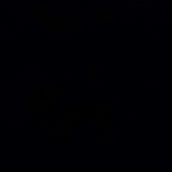 Profile Picture of Carla Lewandowski (@clewand14) on Poshmark