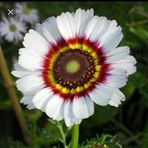 Profile Picture of Clinton Rozani (@clinton.rozani) on Facebook