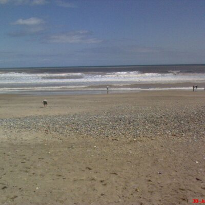 Profile Picture of Sean Padden (@webcamsltd) on Twitter