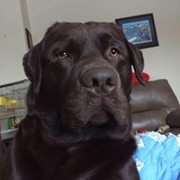 Profile Picture of Paula Powell (@paula-powell-28) on Quora