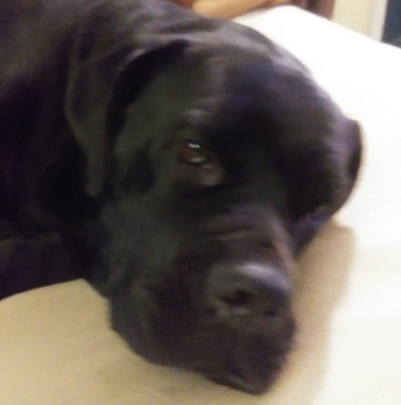 Profile Picture of Scott Brooks (@scottbrooks824) on Poshmark