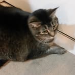 Brent Slavin - Facebook Profile Picture of Brent Slavin (@brent.slavin.1) on Facebook