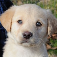 Haley Burger - Quora Profile Picture of Haley Burger (@haley-burger-3) on Quora