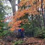 Profile Picture of Aleecia Adams (@aleecia.adams.3) on Facebook