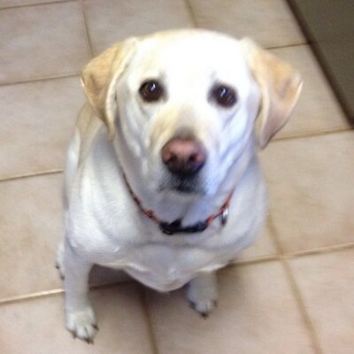 Profile Picture of Mike Stair (@msstair) on Twitter